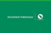 PRESENTACION EXPO INCENDIOS - Fomento Económico de ...fec-chiapas.com.mx/.../presentacion-expo-incendios.pdf · tema de incendios forestales, los tipos de incendio, ecosistemas ...