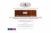 EL CINE DE INMIGRACIÓN EN ESPAÑA COMO …uvadoc.uva.es/bitstream/10324/6817/1/TFG-L670.pdf · evolución legislativa en materia de inmigración y evolución de los flujos migratorios