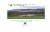AGENDA LOCAL 21 DE VALDEGOVÍA - Gaubeako Udala · 8.4.1.2. Calidad del Aire en el Valle ... diseñan y constituyen los grupos de trabajo que gestionarán y dirigirán el desarrollo