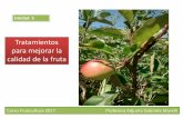 Tratamientos para mejorar la calidad de la frutaaulavirtual.agro.unlp.edu.ar/pluginfile.php/321/course/section/261... · multiplicación celular , por competencia entre sí y con