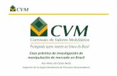 investigación de Brasil - IIMV - Instituto Iberoamericano ... · ... IX Reunión sobre Casos Prácticos de Inspección y Vigilancia de ... Con esas operaciones ella ganó R$ 1,2