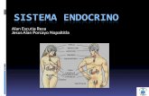 Presentación de PowerPoint · ¿Qué es el sistema endocrino? El sistema endocrino es el conjunto de órganos que segregan un tipo de sustancias llamadas hormonas, que son liberadas