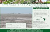 Informaciones Agronómicas - ipni.net · en materia de manejo y conservación de suelos, orientada a controlar el principal problema ambiental que tiene el país, fuera de las áreas