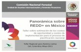 Panorámica sobre REDD+ en Méxicoforestcarbonpartnership.org/sites/fcp/files/Documents/tagged/04... · •Factores complejos (ambientales, sociales y económicos) ... Elementos clave