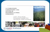 LA FORESTERÍA COMUNITARIA: UNA OPCIÓN DE …chmhonduras.org/phocadownloadpap/CBD/PNB/GIZ/5_La Forestera... · el óptimo aprovechamiento de los recursos naturales, apoyando la Estrategia
