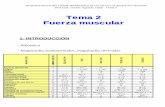 Tema 2 Fuerza muscular - Universidad de Castilla · 3- TIPOS DE FUERZA Isométrica Dinámica: concéntrica y excéntrica ... poleas excéntricas, palancas u otros mecanismos). Las