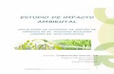ESTUDIO DE IMPACTO AMBIENTAL - Euskadi.eus · de Impacto Ambiental del proyecto de actividad, publicada en el BOPV de 9 de marzo ... Según el arquitecto del proyecto la red de saneamiento