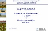 CULTIVO SORGO Análisis de rentabilidad P-V 2006 y …€¦ · Dirección de Consultoría de Agronegocios Direccion Regional Occidente Residencia Estatal Guanajuato CULTIVO SORGO