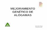 Mejoramiento genético de alógamas Ariel - … · cultivares de especies forestales son VPAs. zEn hortícolas existen VPAs como por ejemplo en cebolla la Pantanoso del Sauce. zEn