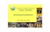 COOPERATIVA AGRARIA CAFETALERA “ORO … · NACIONES UNIDAS se constituye el 07 de Diciembre de 1,999 la Cooperativa Agraria Cafetalera “Oro Verde” , los fundadores fueron 56
