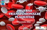 Presentación de PowerPoint - bio-service.com.cobio-service.com.co/index_htm_files/PRUEBAS TRANSFUSIONALES... · anemia fetal. Poco frecuente pero ... detección de anticuerpos anti-HPA,