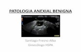 PATOLOGIA ANEXIAL BENIGNA - fundesalud.esfundesalud.es/.../Dr._Santiago_Fresno._Patologia_Anexial_Benigna.pdf · venosa y linfática Congestión y edema -> ... •Longitud media 8-10