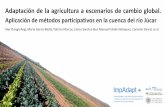 Presentación de PowerPoint - IIAMA · Adaptación de la agricultura a escenarios de cambio global. Aplicación de métodos participativos en la cuenca del río Júcar. Mar Ortega-Reig,