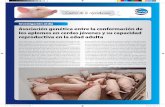 Control de la reproducción - ceva.esº 13... · Control de la reproducción Investigación al día Las cojeras son un problema importante en producción porcina, de-bido a que disminuyen