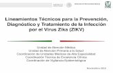 Lineamientos Técnicos para la Prevención, Diagnóstico …cvoed.imss.gob.mx/COED/home/normativos/DPM/archivos/Virus_Zika.… · enfermedad febril exantemática. ‒Evaluar conjuntamente