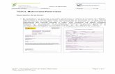 363n proceso de TESOL Maternidad-Paternidad en DD PP.docx) · 2011-04-28 · SODT - Descripción proceso de TESOL Maternidad-Paternidad en DD PP.docx ... (Microsoft Word - SODT -