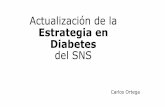 Actualización de la Estrategia en Diabetes del SNS³n-de... · Actualización de la Estrategia en Diabetes ... Datos de BBPP año 2015. 40 11 5 5 11 6. 2 1 1 1 1. ... Buenas Practicas