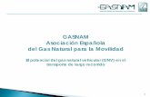GASNAM Asociación Española del Gas Natural para la … · 42RUFRE DIESEL INJECTION 76 GRUPO SOUSA GASLINK . ... • Ciclo Diesel con tecnología dual-fuel (gas natural – gasóleo).