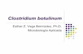 Esther Z. Vega Bermúdez, Ph.D. Microbiología Aplicada · Fermenta maltosa y glucosa para producir ácido y gas