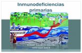Estudio de las inmunodeficiencias - MEDICINA · Pueden resultar de defectos en la maduración y activación de linfocitos o de defectos en mecanismos efectores innatos o adquiridos: