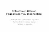 Defectos en Células Fagocíticas y su Diagnósticoiralabs.org/eDocs/EPUB0189.pdf · Clasificación de los defectos en células fagocíticas ... B. Fagocitos polimorfonucleares •