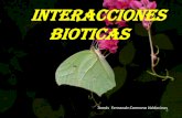 Presentación de PowerPoint - uv.mx · ... son aquellas relaciones que se establecen entre al menos dos organismos de una o mas especies Del Val y Boege, 2012 INTRAESPECIFICA INTERESPECIFICA