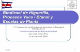 Biodiesel de Higuerilla, Procesos Yuca / Etanol y … · Etapas a la hidrólisis del almidón 1 ... desafíos y políticas públicas¨, organizado por ... De la eficiencia de extracción