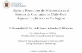 Ondas y remolinos de mesoescala en el sistema de ...acceda.ulpgc.es/bitstream/10553/6641/4/0641980_00000_0000.pdf · Pontificia Universidad Católica de Valparaíso ... 0.2 0.4 0