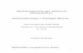 Anatomofisiología y Patología Básicas - IES LA …ieslamadraza.com/webdepartamentos/2013_14 Farmacia/2013... · 2013-11-16 · cuestionario donde, además de realizar preguntas