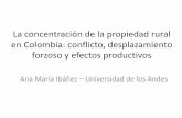 La concentración de la propiedad rural en Colombia ... · Estructura de la presentación •La tenencia de la tierra y el conflicto armado •Evolución de la concentración: 2000-2009