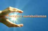 Es la fuente de todo - ieslospacos.files.wordpress.com · 3.1- gasto metabÓlico basal / metabolismo basal Es el estado en el que se consume energía para todos los procesos vitales
