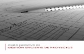 GESTIÓN EFICIENTE DE PROYECTOS - iffe.es · necesidad de afrontar procesos de certificación. ... En PMBoK, el Plan de Proyecto es la herramienta sobre ... Matriz de Riesgos.
