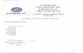 Impresión de CVU - CONACyT - CICATA Altamira · Impresión de CVU - CONACyT ... 2013 TIN PASSIVATION IN ALKALINE MEDIA: ... R. Castro-Rodriguez, J. L. Peña, Modern Physics Letters