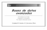 Universidad de Los Andes Postgrado en Computación …webdelprofesor.ula.ve/ingenieria/ibc/bda/s15serWeb.pdf · o Conjunto de reglas de codificación para representar los datos de