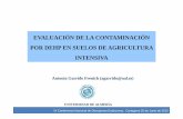 EVALUACIÓN DE LA CONTAMINACIÓN POR DEHP EN SUELOS DE ... · Contaminación de suelos por contaminantes orgánicos IX Conferencia Nacional de Disruptores Endocrinos, Cartagena 25