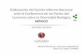 México - Elaboración del Quinto Informe Nacional · Cumplimiento de compromisos internacionales Seguimiento de la implementación (Desarrollo, avances; compromisos) 3.1 Sinergia