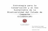 Taller para la elaboración de la matriz de indicadores …semarnatcam.campeche.gob.mx/wp-content/uploads/... · Sustentable de la Biodiversidad del Estado de Campeche (ECUSBIOCAM)