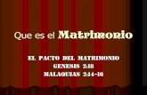 Que es el Matrimonio - Iglesia Bíblica Bautista …ministerioantioquia.com/.../08/01_-_Que_es_el_Matrimonio.pdfImplicaciones del Pacto (sigue) Gen. 2:23-24 indica que el matrimonio