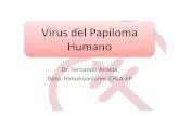 Virus del Papiloma Humano Vacunas VPH - … · • Existen más de 100 tipos • Se clasifican en ¾Alto riesgo oncológico ¾Bajo riesgo oncológico • 40 dan lilesiones genilitales