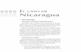 El dE Nicaragua - cejil.org Caso de... · 262 El “Semanario el Mercurio” del 26 de junio al 2 de julio 2008, citando como fuente el libro “Grandes crímenes del siglo XX en