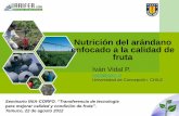 Nutrición del arándano enfocado a la calidad de frutacooprinsem.cl/home/pdf/frutales/seminarios/2012/descarga.php?id=1... · Conocer el suelo desde el momento de la plantación.