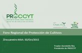 Presentación de PowerPoint - proccyt.org.mxproccyt.org.mx/pdf/Foro-Uruapan-02-Oct-2015.pdf · Arroz Maiz Trigo Soya ... Inversión en Investigación y Desarrollo de la Industria