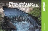 Ríos tóxicos - greenpeace.org · y la prevalencia de esta contaminación industrial ha ... Para “prevenir y controlar la contaminación” del agua en ... Anexo 3 de este documento)