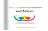 CAUCA - ReliefWebreliefweb.int/sites/reliefweb.int/files/resources/FAB0D38448620581... · del Cauca, en marzo de 1965, planeada en Riochiquito5. Tras este hecho el Ejército respondió