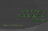 MALEZAS y Estrategias de Control - Actividad …cursosagropecuarios.org.ar/Alumnos/Material-de-Estudio/... · Herbicidas de pre-emergencia. c. Herbicidas de pos-emergencia. d. Herbicidas