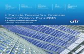II Foro de Tesorería y Finanzas Sector Público, Perú 2013 · sus gobiernos y del sector privado. Es por ello, que los gobiernos de la ... (finanzas, educación, salud, defensa,