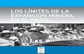 12262 SER / Limites de la expansion minera en Peru ... · 9 Los L ímites de L a expansión minera en e L p erú introduCCión En los últimos años, los conflictos sociales vinculados
