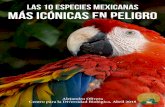 Las 10 Especies Mexicanas Más Icónicas en Peligro · Resumen ejecutivo M éxico es uno de los países ... En este informe destacamos las amenazas que enfrentan las 10 especies en