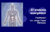 El sistema energético - Libro Esotericolibroesoterico.com/biblioteca/Chakras Reiki y Sanacion/Chackras... · los puntos de acupuntura son aberturas por donde fluye la energía a