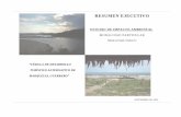 Célula de Desarrollo Turístico Alternativo de Marquelia ...sinat.semarnat.gob.mx/dgiraDocs/documentos/gro/estudios/2004/12GE... · • El saneamiento del drenaje es al 100% ya que